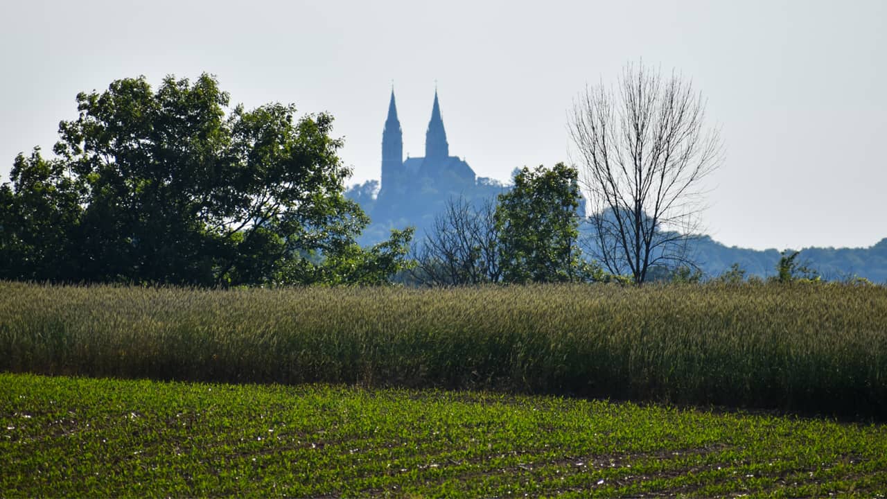 Farm land in western Washington County with Holy Hill on the horizon.