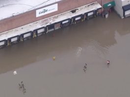 Flooding at the Cargill plant in the Menomonee Valley in Milwaukee. Image from WISN-TV Channel 12, a media partner of BizTimes Milwaukee.