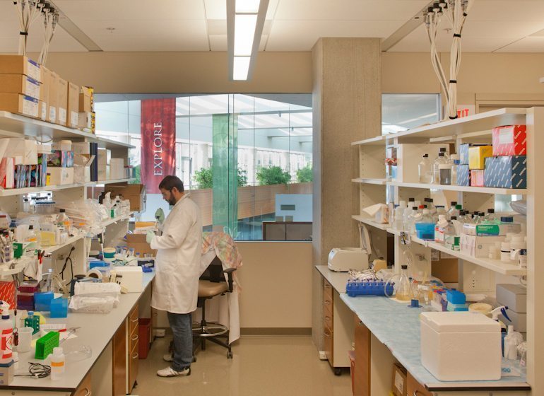 Wisconsin’s bioscience industry accounts for $27 billion in total economic output annually. The University of Wisconsin-Madison is home to several labs where researchers are discovering new technologies that can be used in businesses. (WARF)