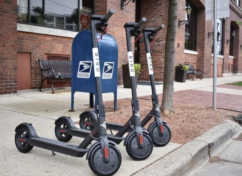 bird electric scooter