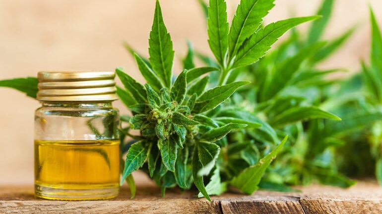 Hemp_shutterstock_734579047